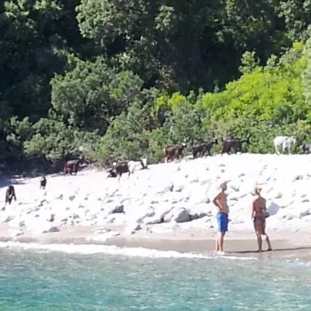 Casetta In Pietra