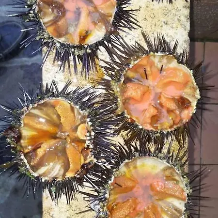 شقة Casetta In Pietra